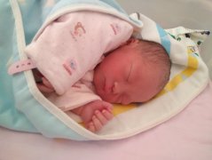 大年初一 徐州市區(qū)降生75個“狗娃” 喜迎新年