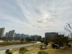徐州市一院王勁松當選中華中醫藥學會綜合醫院中醫藥委員會第二屆委員