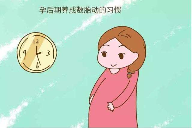 胎兒最美妙的語言：如何讀懂孕期胎動