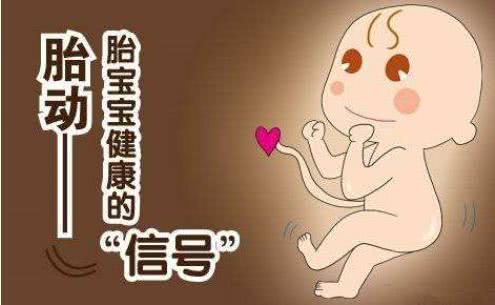 胎兒最美妙的語言：如何讀懂孕期胎動