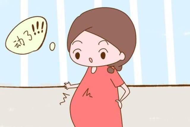 胎兒最美妙的語言：如何讀懂孕期胎動