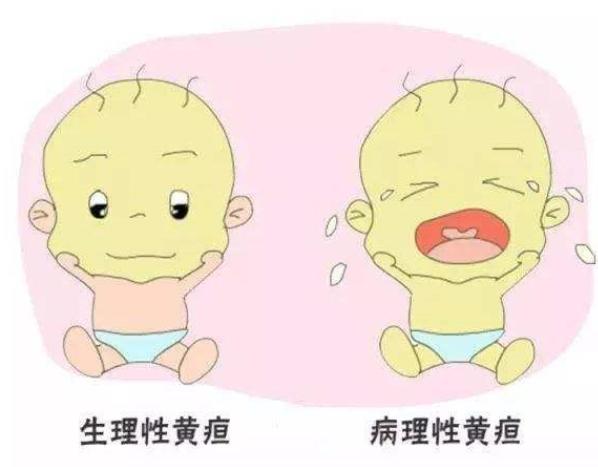 寶寶出生10個小時變黃，原來是患了“溶血病”