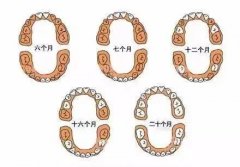 孩子到底何時長牙、何時換牙？徐州婦幼保健院專家為你解惑