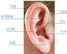 徐州婦幼保健院兒童耳鼻喉保健科開展耳廓無創(chuàng)矯正項目