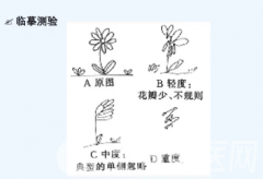 ?什么叫單側忽略？徐州康復醫生詳解：“隱形”的另一部分